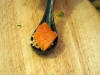 sushis0.jpg (8651 bytes)