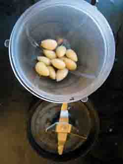 JM_pateamandes3.jpg