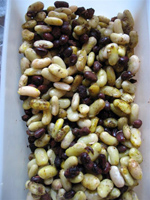 Houmflageol1.jpg, mai 2009 Houmflageol1.jpg